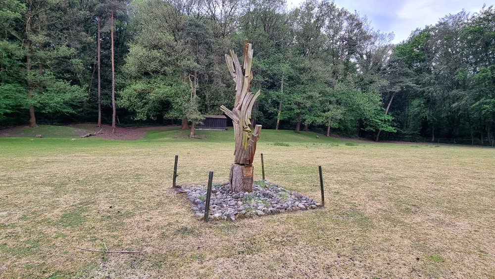 Life Lines im Hertenkamp