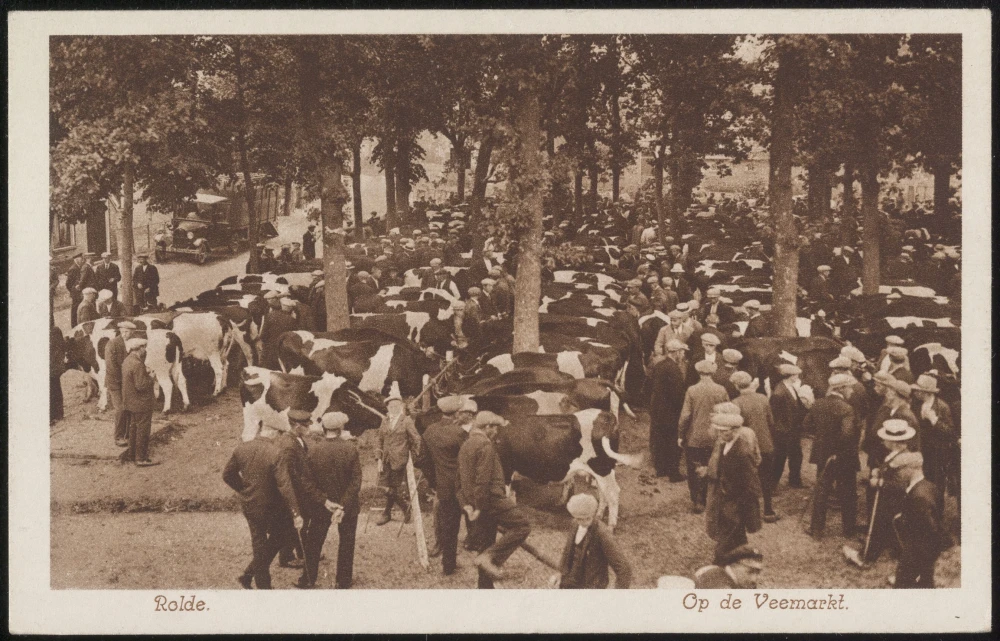 De Roldermarkt