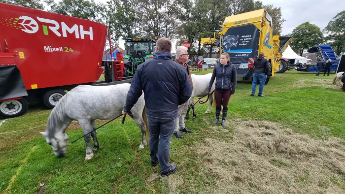 Schimmel auf dem Pferdemarkt, zwischen den Landmaschinen