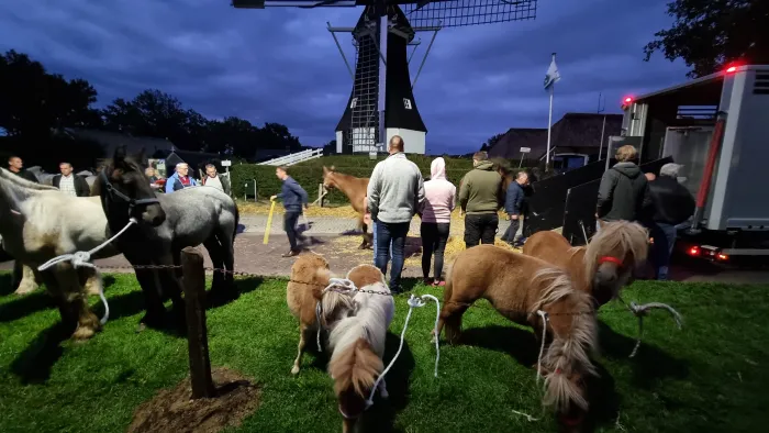 De Rolder Paardenmarkt vroeg in de morgen