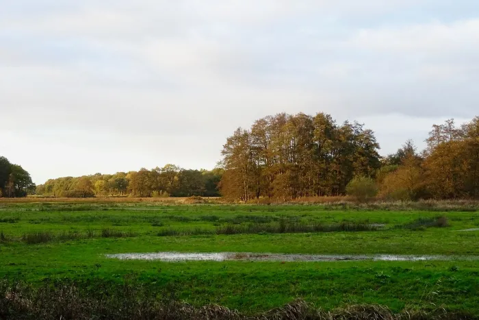 Het beekdal van de Drentsche Aa bie Schipborg