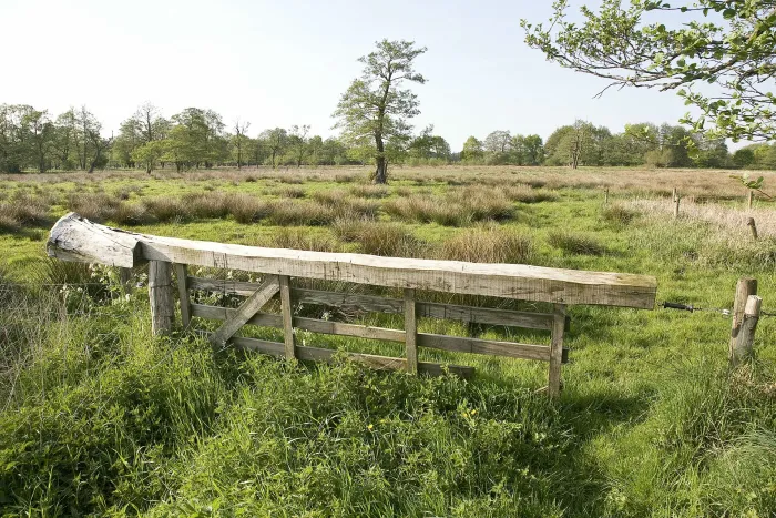 Het beekdallaandschap De Holten bie Grolloo