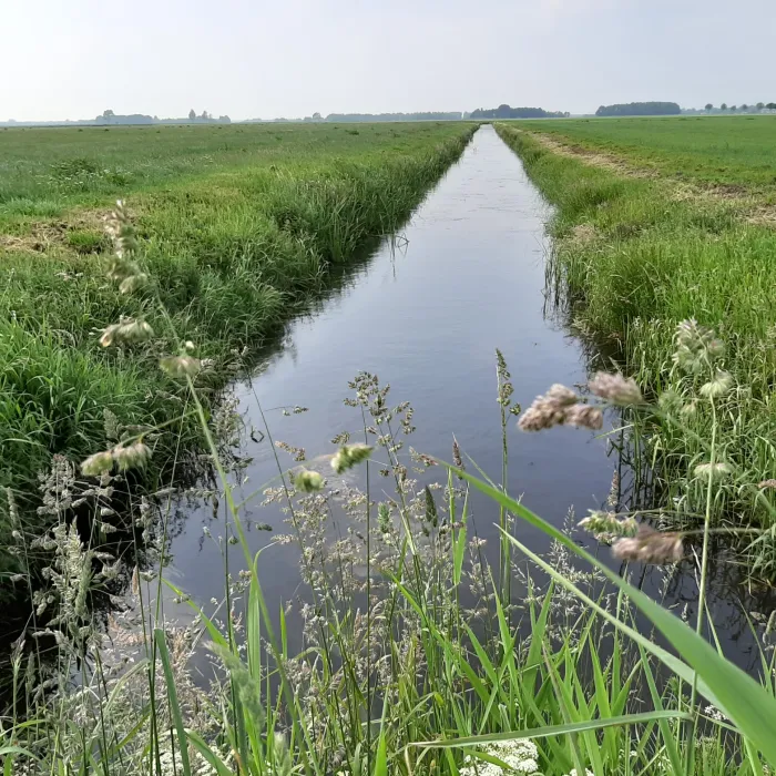Het rechttrokken Amerdiep in 2020