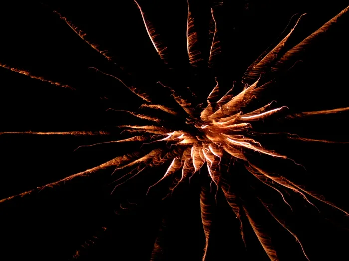Genehmigung erforderlich für das Abbrennen von Feuerwerk in Aa en Hunze
