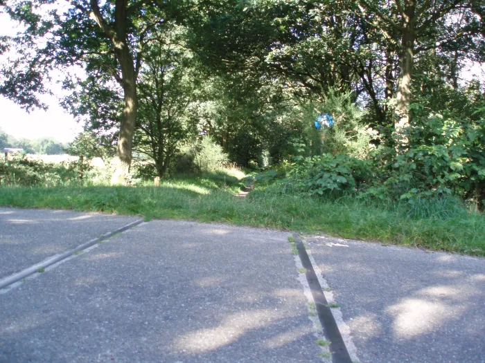 Oude rails in de Koelandsdijk herinneren aan de voormalige spoorlijn Assen–Stadskanaal, die wél door Rolde liep.